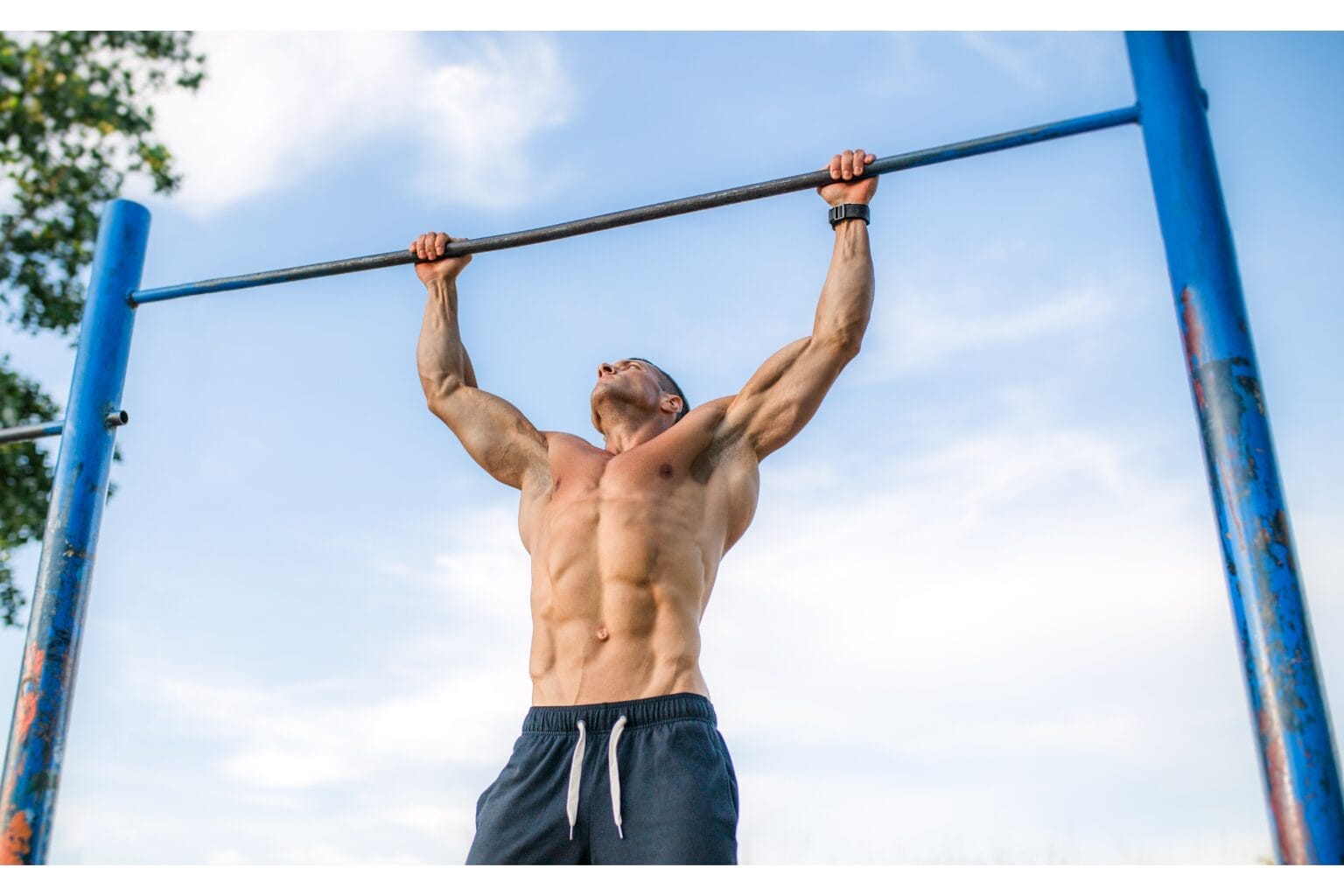 Calisthenics for Muscle Building - Does it Actually Work? 1 Muscle Building